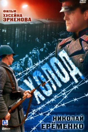 Cold's poster