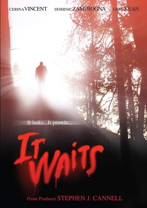 It Waits's poster
