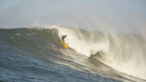 Surfer: Teen Confronts Fear's poster