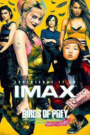 Birds of Prey and the Fantabulous Emancipation of One Harley Quinn's poster