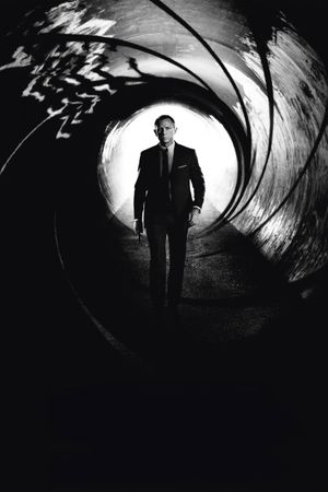 Skyfall's poster