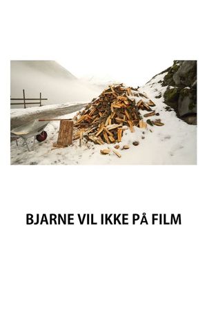 Bjarne Hates the Camera's poster