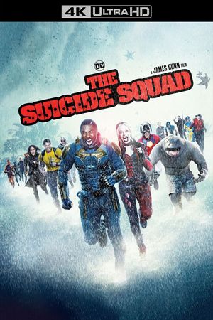 The Suicide Squad's poster