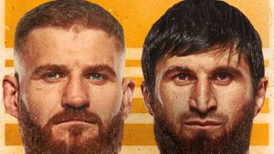 UFC 282: Blachowicz vs. Ankalaev's poster