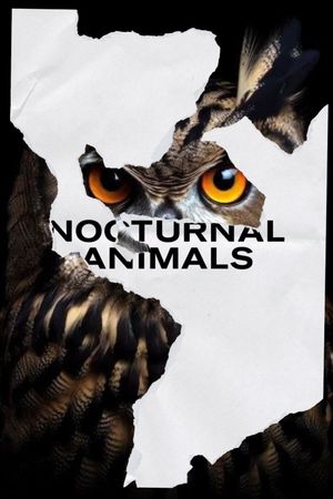 Nocturnal Animals's poster