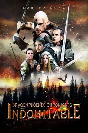 The Dragonphoenix Chronicles: Indomitable's poster