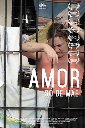 Amor Só de Mãe's poster