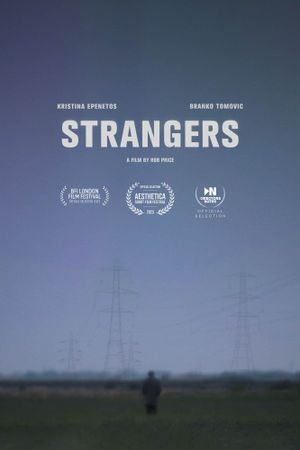 Strangers's poster image