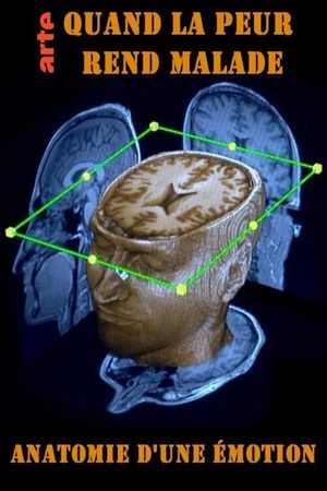 Quand la peur rend malade - Anatomie d'une émotion's poster