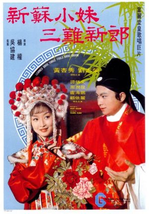 Xin Su xiao mei san nan xin lang's poster