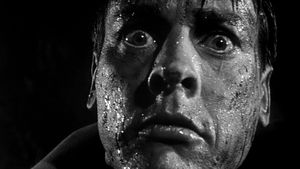 Invasion of the Body Snatchers's poster