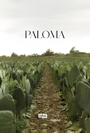 Paloma's poster