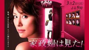 Housekeeper the Peeper's poster