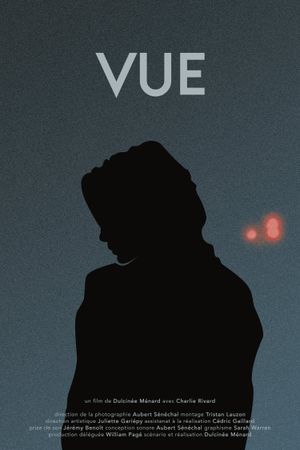 Vue's poster