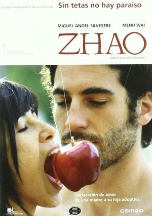 Zhao's poster