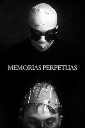 Perpetual memories's poster