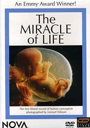 The Miracle of Life's poster image