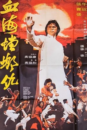 Mantis Fists and Tiger Claws of Shaolin's poster image