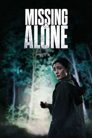 Missing and Alone's poster