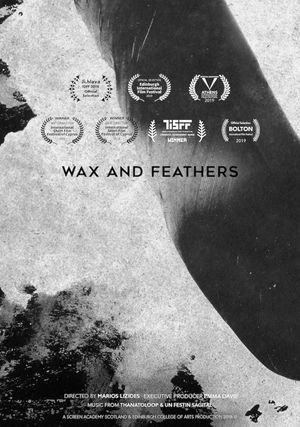 Wax And Feathers's poster