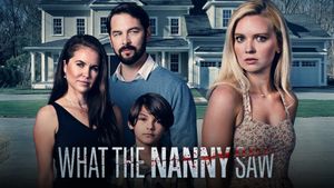 What The Nanny Saw's poster