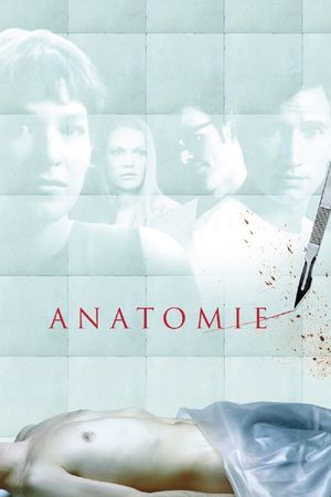 Anatomy's poster