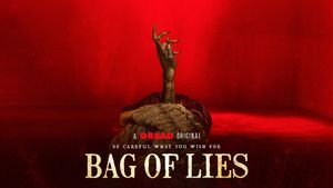 Bag of Lies's poster