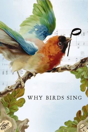 Why Birds Sing's poster