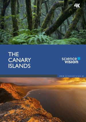 The Canary Islands's poster image