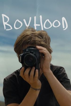 Boyhood's poster