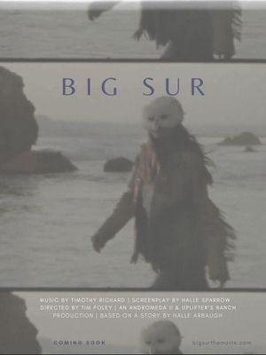 Big Sur's poster