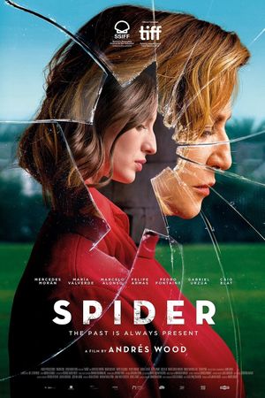 Spider's poster