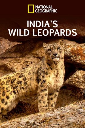 India's Wild Leopards's poster