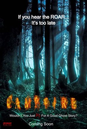 CAMPFIRE's poster