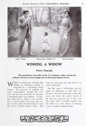 Winning a Widow's poster