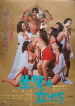 Harry and His Geisha Girls's poster
