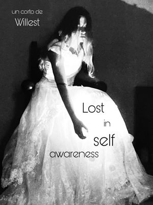 Lost in self awareness's poster