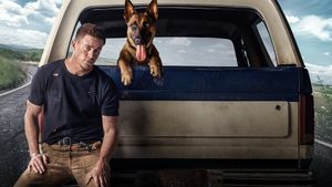 Dog's poster