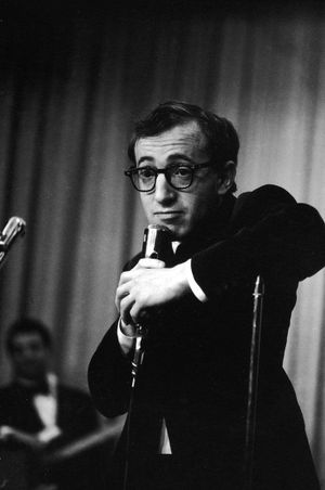 The Woody Allen Special's poster
