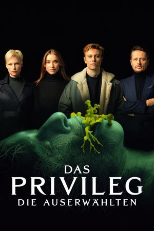 The Privilege's poster
