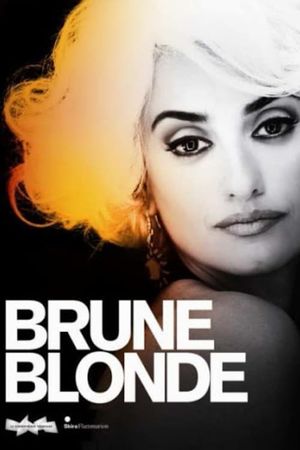 Brunes et Blondes's poster