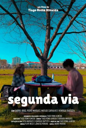 Second Chance's poster