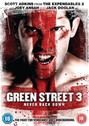 Green Street 3: Never Back Down's poster