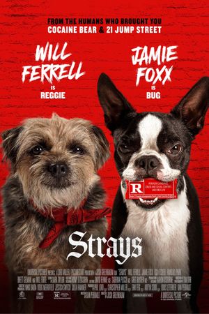 Strays's poster