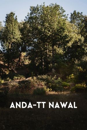 Anda-tt Nawal's poster
