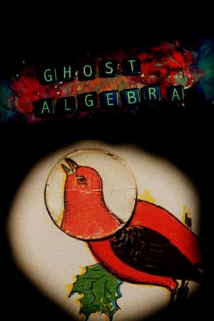Ghost Algebra's poster