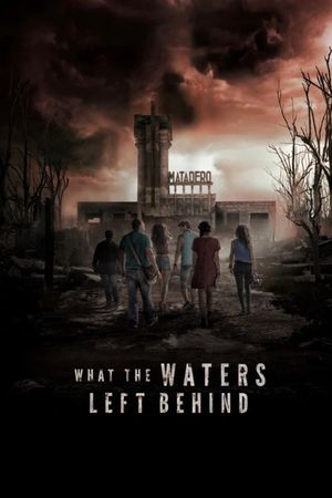 What the Waters Left Behind's poster