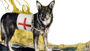 A Dog of the Regiment's poster