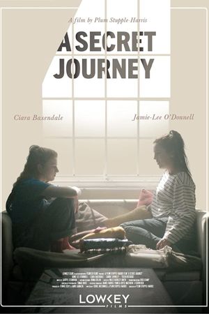 A Secret Journey's poster