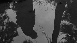 Wild Strawberries's poster